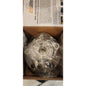 Driveworks NT513157 Front Wheel Hub Fits Eclipse Galant Sebring Stratus