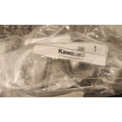 Kawasaki OEM Foot Peg Step Assembly 34028-1498-CE Front Footrest Brand New