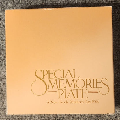 Vintage 1986 Avon Mothers Day Plate A New Tooth 5 Inch Porcelain Boxed COA