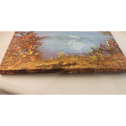 2 Different - Vintage Embroidered Handkerchief Sets - Same Box - All Cotton