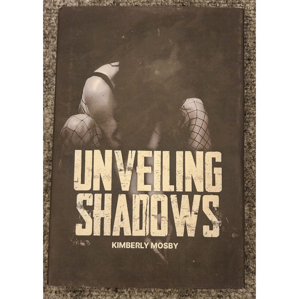 Unveiling Shadows C.L. Schneider Fantasy Hardcover Book Brand New Unread