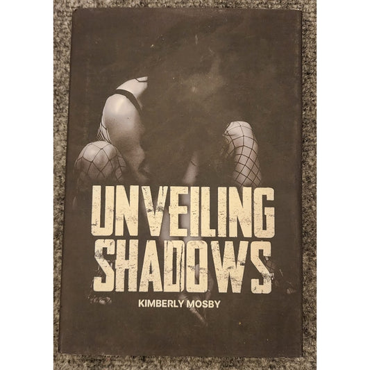 Unveiling Shadows C.L. Schneider Fantasy Hardcover Book Brand New Unread
