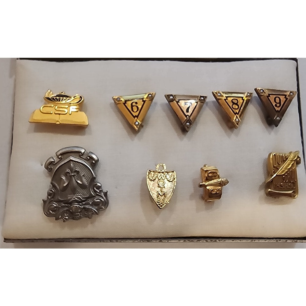 Vintage Academic Honor Pin Set – 10K GF Pins (6–9), Quill & Scroll GF, CSF 1974 A. Schiff, RP Pin + Extras w/ Original Case