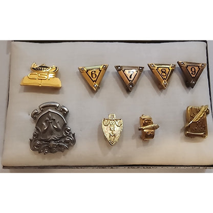 Vintage Academic Honor Pin Set – 10K GF Pins (6–9), Quill & Scroll GF, CSF 1974 A. Schiff, RP Pin + Extras w/ Original Case