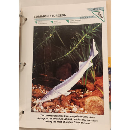 Vtg Wildlife Fact File Binders Lot 2 Groups 1-11 Animal Cards Homeschool