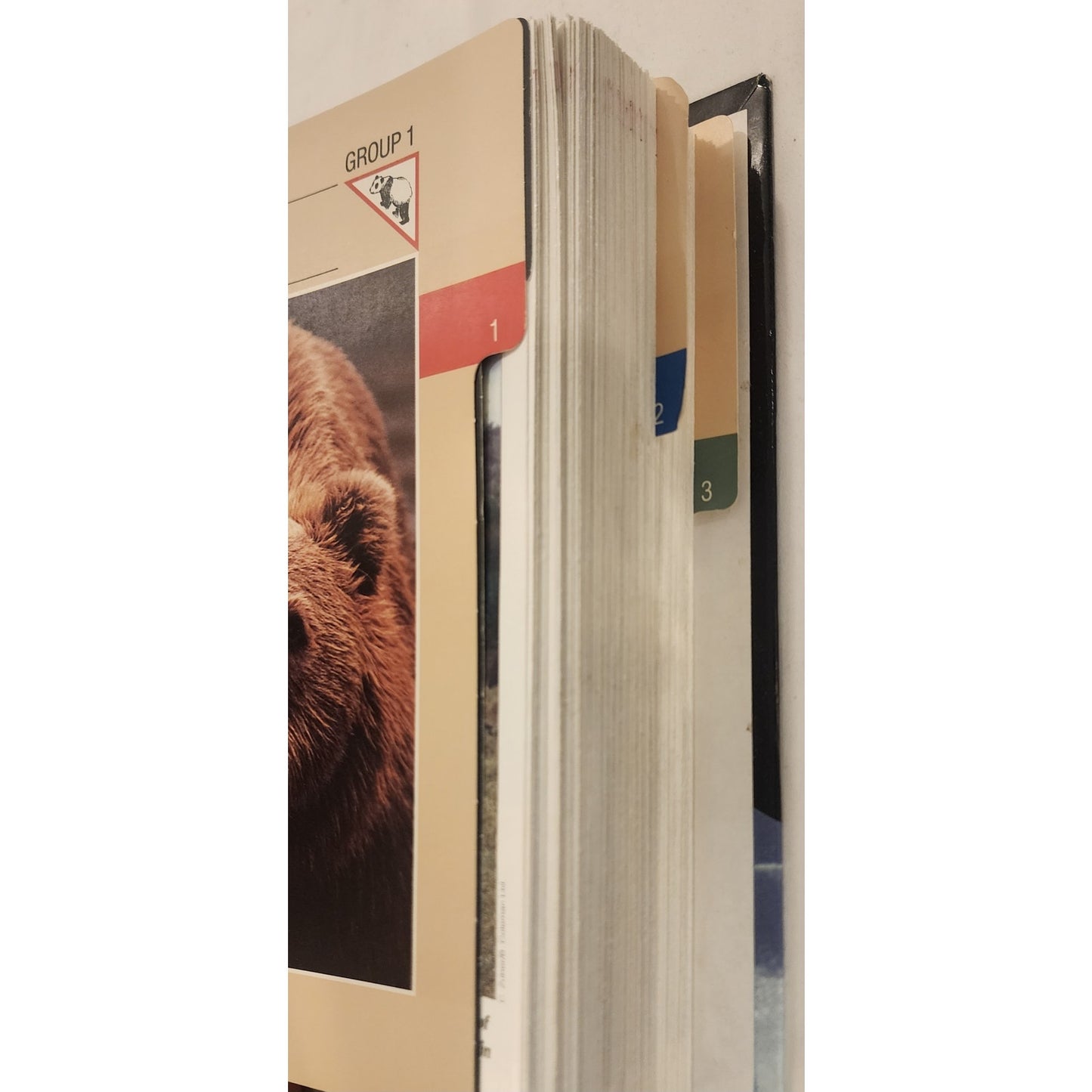 Vtg Wildlife Fact File Binders Lot 2 Groups 1-11 Animal Cards Homeschool