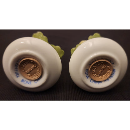 Vintage Aynsley Fine Bone China Salt and Pepper Shakers Floral Cluster Small