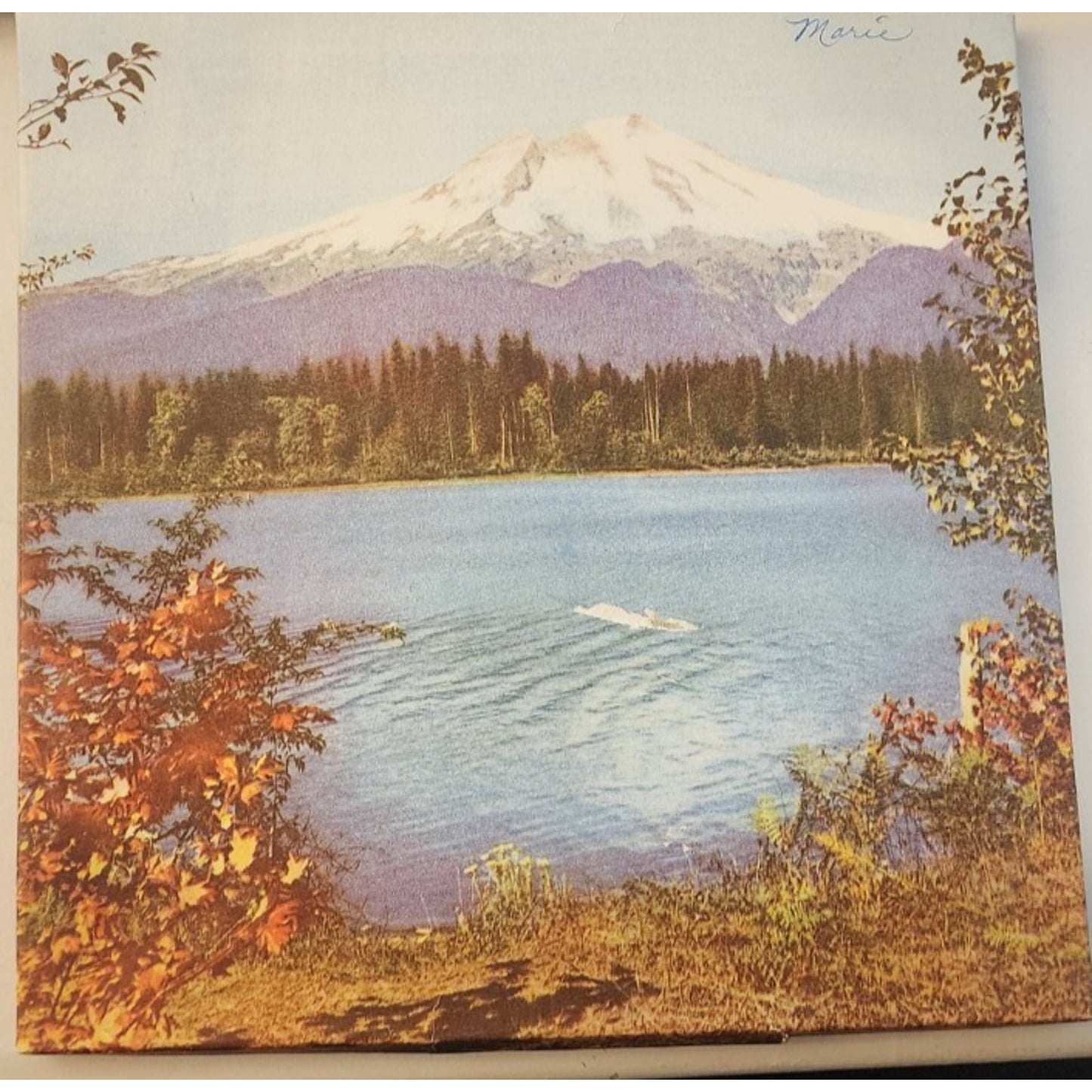 2 Different - Vintage Embroidered Handkerchief Sets - Same Box - All Cotton