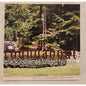Roundabout Billedkunstnernes Forbund Fyn 2004 Danish Art Exhibition Book